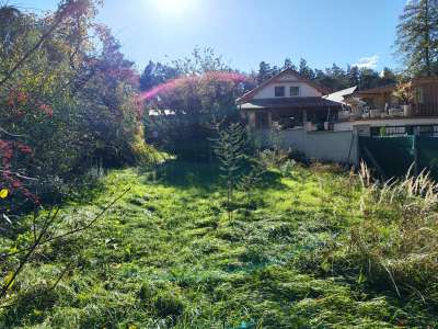 Eladó családi ház - Domony (Fenyő) / 6. kép