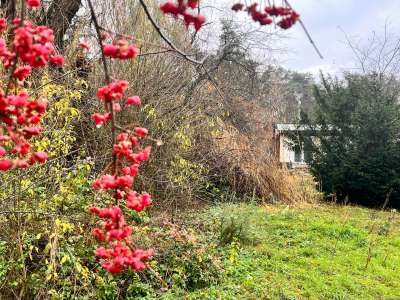 Eladó családi ház - Domony (Fenyő) / 7. kép