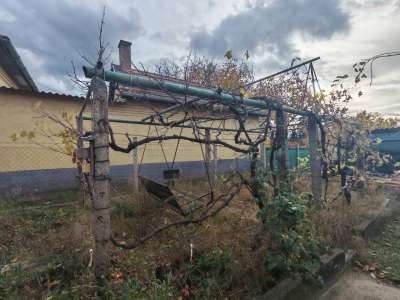 Eladó családi ház - Erdőkertes (Kossuth) / 17. kép