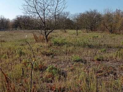 Eladó zártkert - Gödöllő (Kecskés) / 2. kép