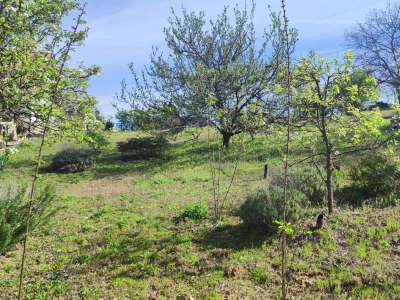 Eladó építési telek - Mogyoród / 1. kép