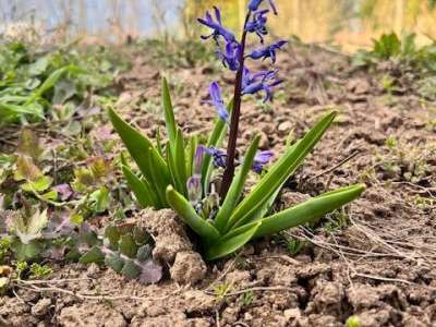 Eladó családi ház - Tura (Vasútújtelep) / 7. kép