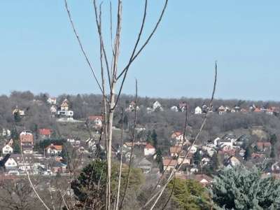 Eladó építési telek - Gödöllő (Gödöllő) / 5. kép