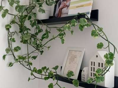 Eladó ikerház - Aszód (Fesztivál tér) / 8. kép