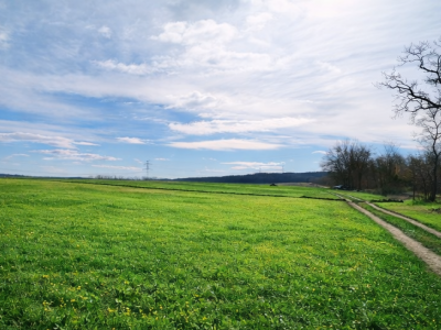 Eladó szántó - Mogyoród (Berek Alja) / 1. kép
