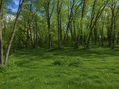 Eladó üzlethelyiség - Veresegyház (Revetek) / 3. kép