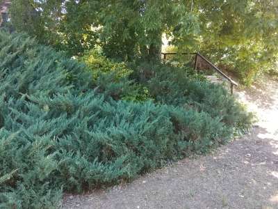 Eladó építési telek - Veresegyház (Öreghegy) / 5. kép