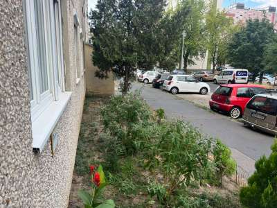 Eladó panellakás - Budapest XV. kerület (Újpalota) / 1. kép