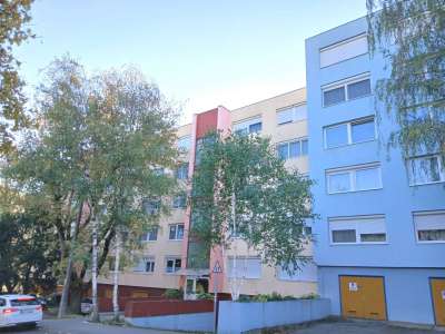 Kiadó panellakás - Gödöllő (Belváros) / 10. kép