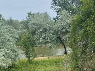 Eladó zártkert - Szolnok (Malomszeg) / 18. kép