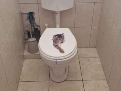 Eladó családi ház - Csemő / 12. kép