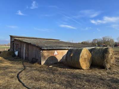 Eladó családi ház - Cegléd / 12. kép