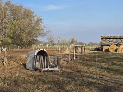 Eladó családi ház - Cegléd / 11. kép