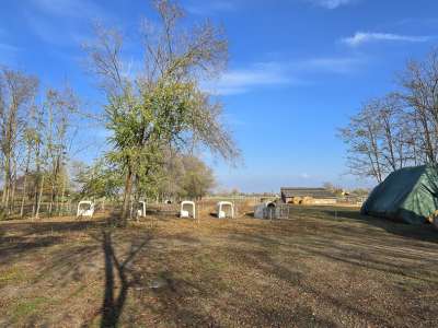 Eladó családi ház - Cegléd / 8. kép