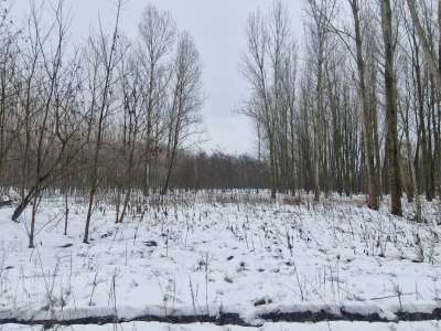 Eladó szántó - Cegléd / 1. kép