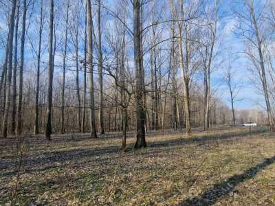 Eladó szántó - Cegléd / 4. kép