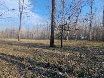 Eladó szántó - Cegléd / 1. kép