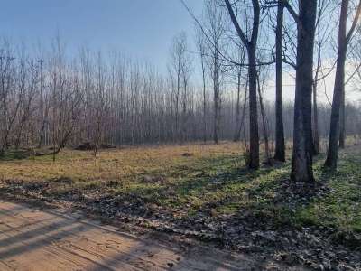 Eladó szántó - Cegléd / 2. kép