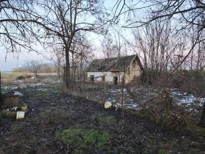 Eladó tanya - Tápiószele (Tápiószele) / 5. kép