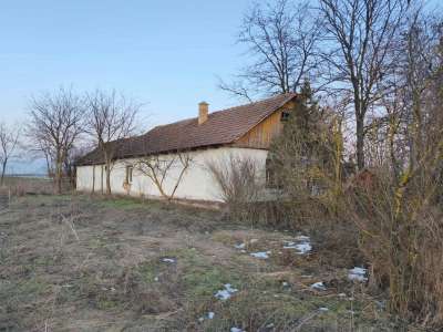 Eladó tanya - Tápiószele (Tápiószele) / 3. kép