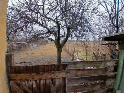 Eladó tanya - Nagykőrös / 13. kép