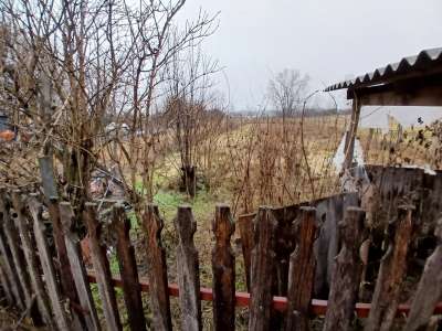 Eladó tanya - Nagykőrös / 14. kép