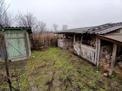 Eladó tanya - Nagykőrös / 5. kép