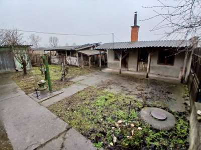 Eladó tanya - Nagykőrös / 4. kép