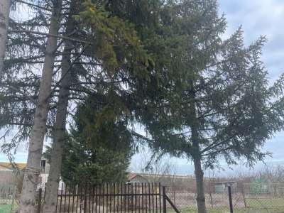 Eladó zártkert - Besenyszög (Mihályi-lapos) / 5. kép