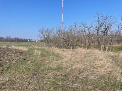 Eladó mezőgazdasági terület - Szolnok (Alcsi városrész) / 2. kép