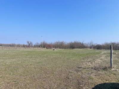 Eladó mezőgazdasági terület - Szolnok (Alcsi városrész) / 3. kép