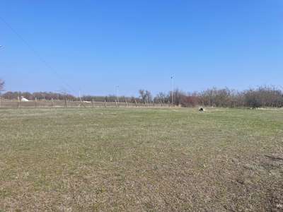 Eladó mezőgazdasági terület - Szolnok (Alcsi városrész) / 4. kép