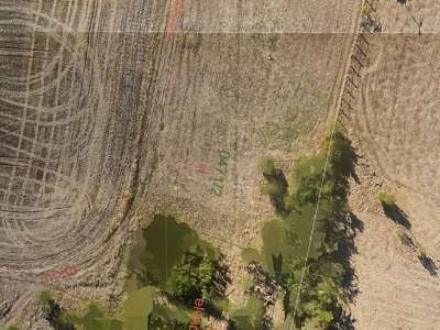 Eladó mezőgazdasági terület - Szolnok (Alcsi városrész) / 5. kép