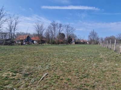 Eladó zártkert - Cegléd (Budai út) / 5. kép