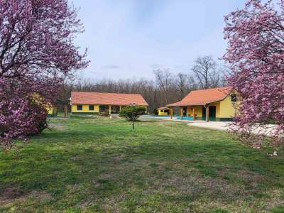 Eladó tanya - Nagykőrös / 2. kép