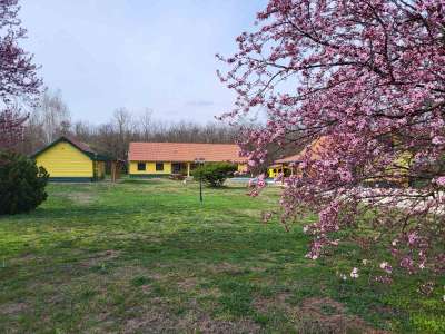 Eladó tanya - Nagykőrös / 3. kép