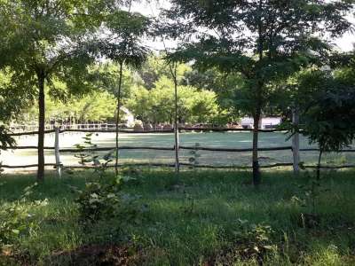 Eladó tanya - Vasad (Vasad) / 30. kép