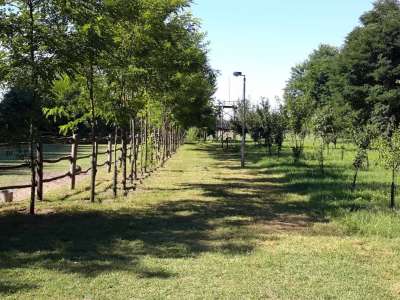 Eladó tanya - Vasad (Vasad) / 28. kép