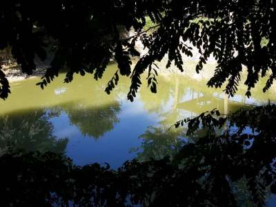 Eladó tanya - Vasad (Vasad) / 27. kép