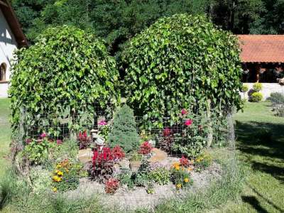 Eladó tanya - Vasad (Vasad) / 2. kép