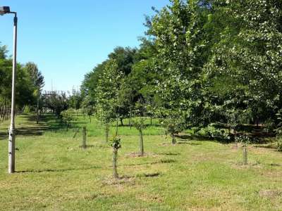 Eladó tanya - Vasad (Vasad) / 26. kép