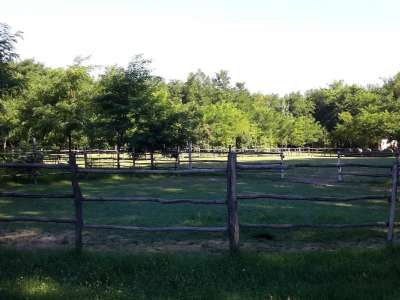 Eladó tanya - Vasad (Vasad) / 22. kép