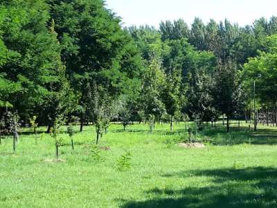 Eladó tanya - Vasad (Vasad) / 24. kép