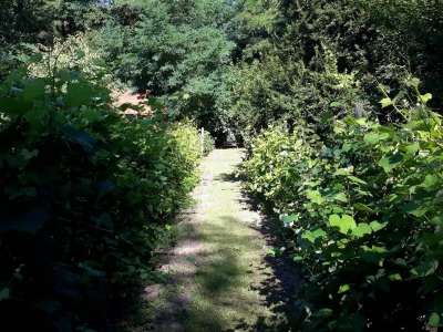 Eladó tanya - Vasad (Vasad) / 20. kép