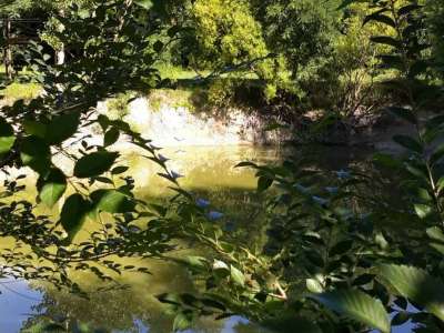 Eladó tanya - Vasad (Vasad) / 29. kép