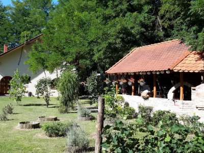 Eladó tanya - Vasad (Vasad) / 1. kép