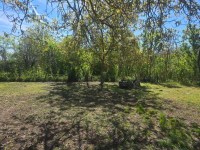 Eladó zártkert - Nagykőrös / 12. kép