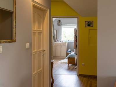 Eladó tó, halastó - Dunavarsány / 13. kép