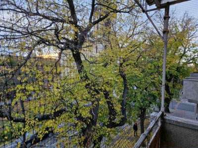 Eladó téglalakás - Jászberény (belváros) / 8. kép