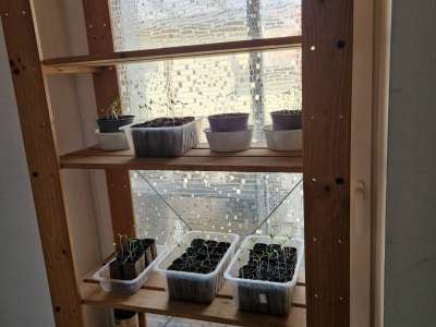 Eladó családi ház - Erdőtelek / 10. kép